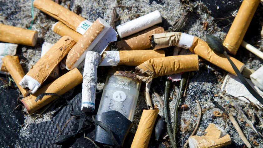 France : interdiction du tabac sur les plages, dans les parcs et forêts d’ici 2027