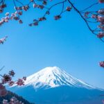 Surtourisme : excédée, une ville japonaise va construire une palissade pour empêcher les touristes de photographier le Mont Fuji