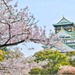 Streptocoque au Japon : les conseils du Quai d’Orsay