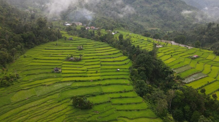 Indonésie : l’île de Sumatra dévastée par des inondations